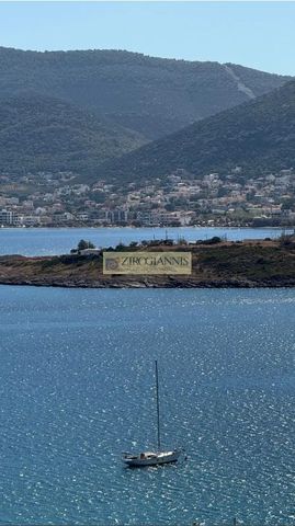 Διαμέρισμα για ενοικίαση Μαρκόπουλο - Photo 5