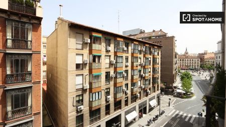 madrid, Community of Madrid 28013 - Photo 5