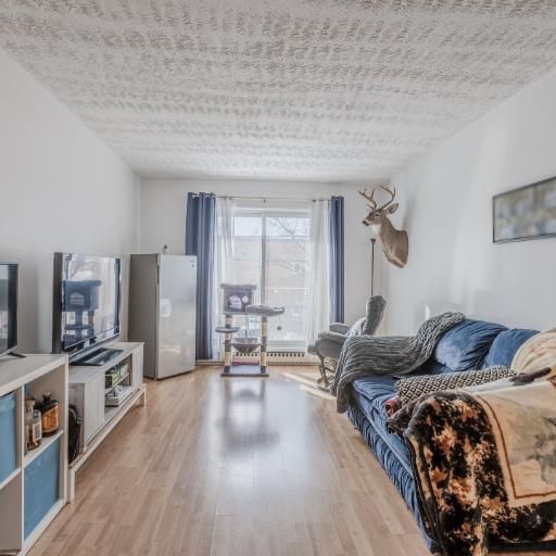 Appartement 3 ½ à louer Montcalm / Saint-Sacrement juillet 2026 - Photo 1