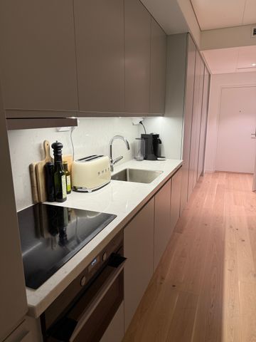 Lodjursstråket, Göteborg - Foto 5