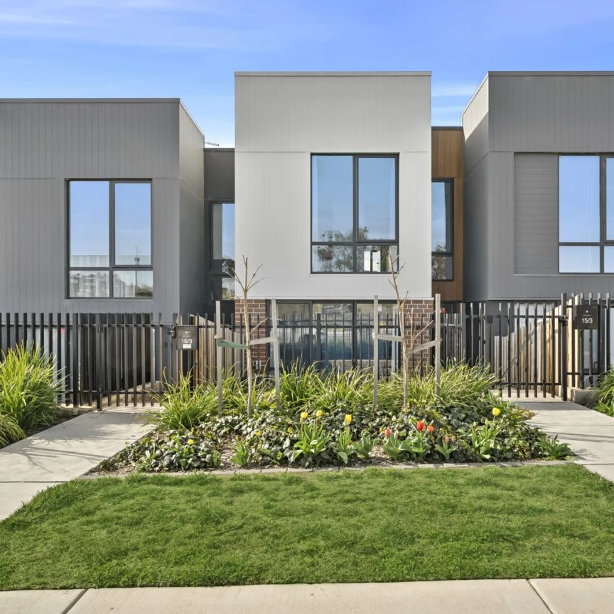 Experience Light, Space, and Luxury Living at 15 Natura - Photo 1