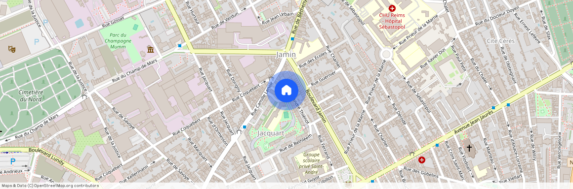 008 RUE ANDRE THIENOT, 51100, Reims