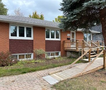 Detached Home For Lease | W8101390 - Photo 4