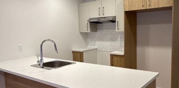 3½ , 4½ et 5½ Neufs à louer - À partir de 1250$ - Saint-Charles Borromée - Photo 2