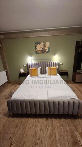 Studio de inchiriat in Sibiu - 40 mp, posibilitate inchiriere pe termen scurt, Central de inchiriat - Fotografie 3