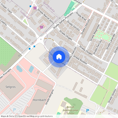 Timisoara