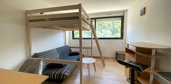 Location Appartement 1 pièce 19m² - Photo 2