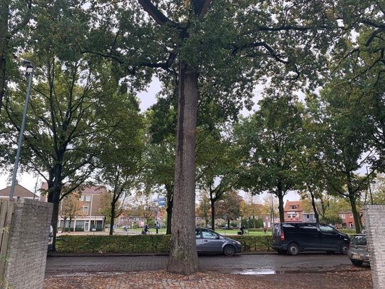 Te huur: Appartement Mastbosstraat in Breda - Photo 1