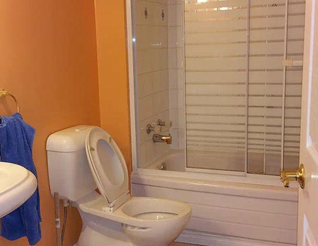 One furnished room in 3 bedroom walk out — 1 Bedroom Room For Rent - Photo 1