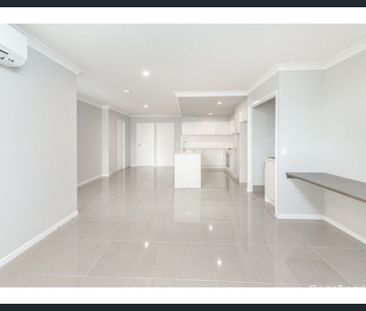 Spacious Unit located in the Quiet streets of Taringa - Photo 2