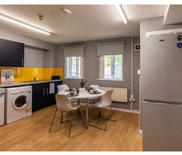 Room in a Shared House, Woodhouse Flats, LS2 - Photo 3