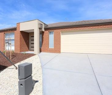 Spacious and Modern 4-Bedroom Home in Mickleham - Photo 2