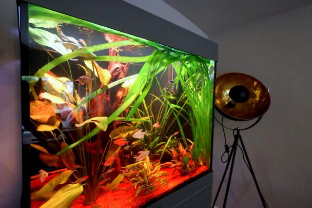 33104 Paderborn / Schloß Neuhaus - Foto 1