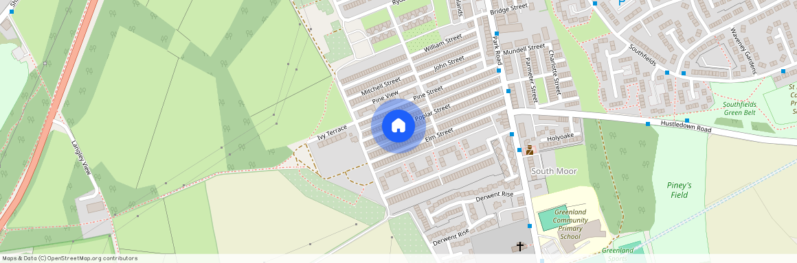 Poplar Street, South Moor, DH9