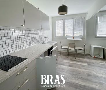 Location Appartement 1 pièce Meublé 27m² NANTES 44100 - Photo 2