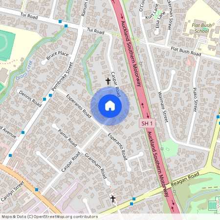 35 Caspar Road, Papatoetoe, Auckland