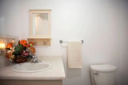 Toronto Furnished Lower Level for Rent – Cozy 1 Bed, 1 Bath with Private Entrance and Air Conditioning - Photo 4