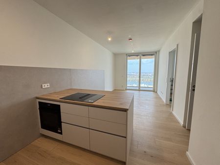 Erstbezug mit Terrasse // Grünblick im Viertel Zwei - Photo 5