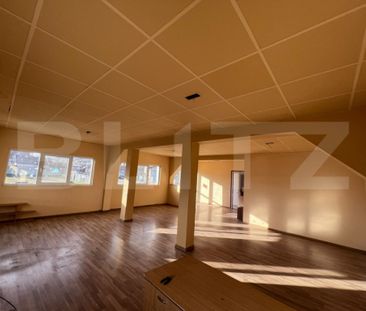 Casa individuala de inchiriat, Dezmir - Fotografie 4