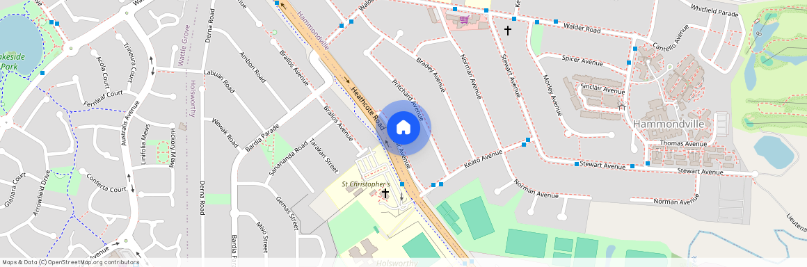 19 Sligar Avenue, NSW 2170, Hammondville