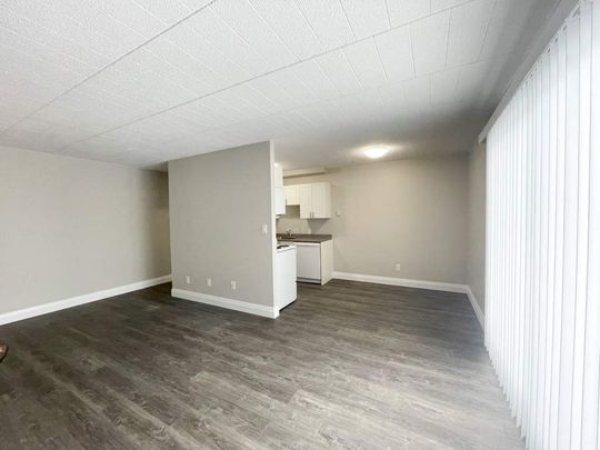 Juliette Apartments - ALL INCLUSIVE - Photo 1