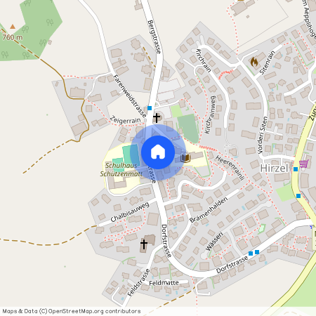 8816, Hirzel, Dorfstrasse, 46