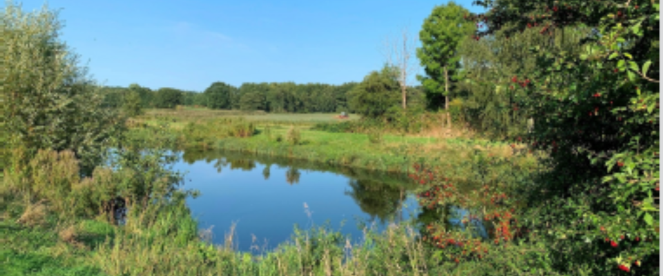 Sonnige 3 Zimmer Wohnung mit Balkon und Garage - Photo 1