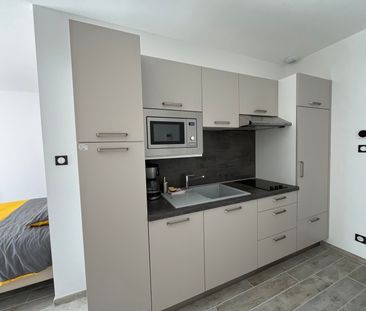 Location Appartement 1 pièce 30m² CARMAUX 81400 - Photo 6