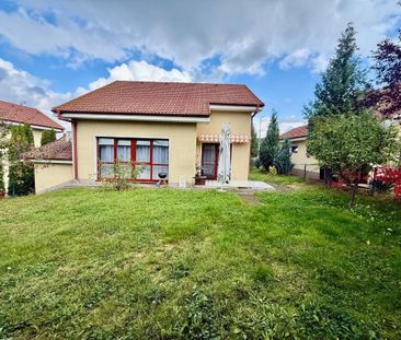 AA/331 De închiriat casă singur în curte în Tg Mureș - Tudor - Fotografie 5