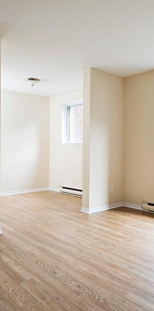 Jardin sur la Rive | 2 1/2 Neuf à Louer | studio for Rent | Pointe-Aux-Tremble - Photo 1