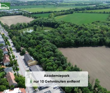 Neubauwohnungen in Wiener Neustadt – Zentrale Lage trifft auf moder... - Foto 2