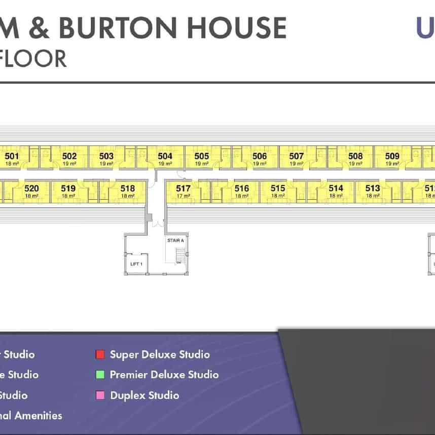 Deluxe Studio - Photo 1