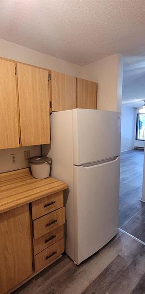 14 Rue Des Flandres (Gatineau) Beau Logement De 1 Cc - Photo 1