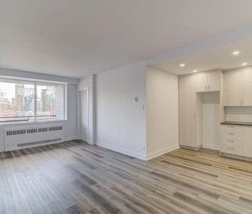 1 CH - 1 SDB - Montréal - $1,650 /mo - Photo 1