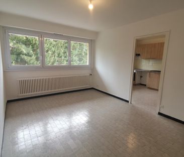 Location Appartement 3 pièces 54m² VIUZ EN SALLAZ 74250 - Photo 1