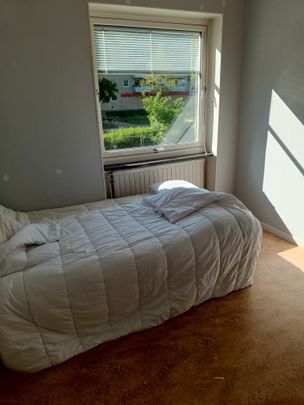 Sturegatan, Uppsala - Foto 1