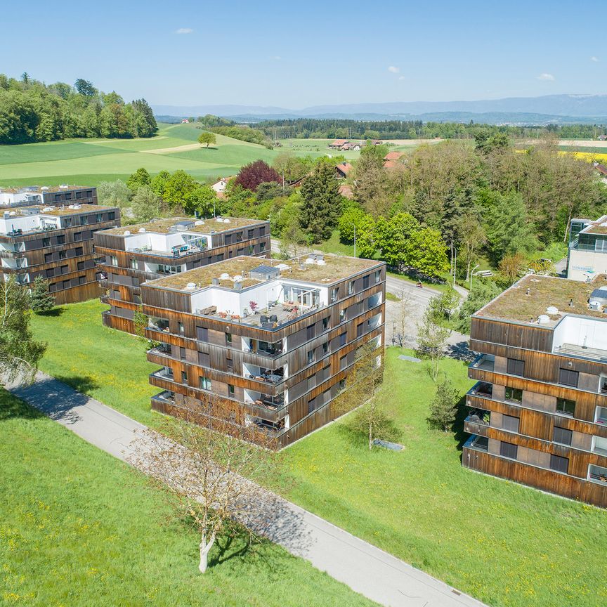 Wohnen mit Holz, Sinn und Stil mit einer Brise Wiesenduft - Foto 1