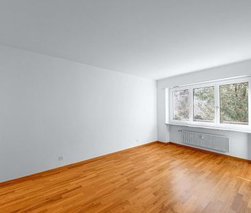 Ruhige Wohnlage nähe Universität Basel - Foto 1