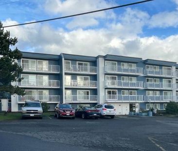 2 Bedroom Suite Available May 1st - Photo 4