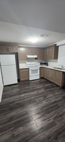 For Lease - 2309 Evans Boulevard Unit# #Basement, London South, Ontario - Photo 2