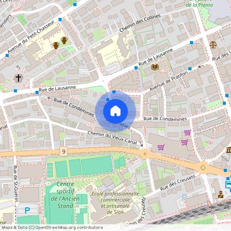 1950, Sitten, Rue De Condémines, 30