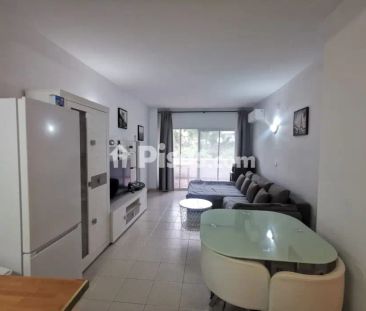 Apartamento en alquiler en Avenida del Parque - Photo 2