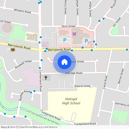 24 ROYCE STREET, NSW 2145, Greystanes