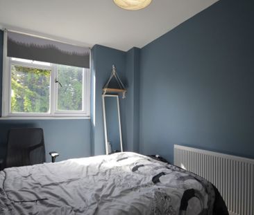 3 bedroom Property to rent - Photo 3