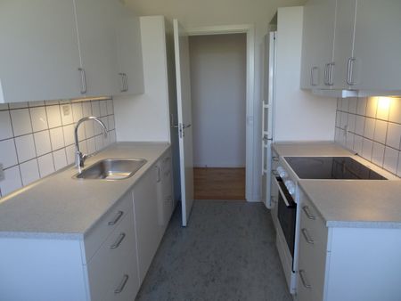 3-vær., Pebermyntevej - Photo 4