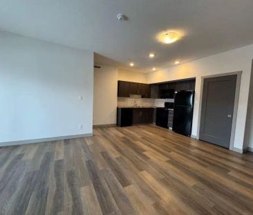 81 Mackenzie Ranch Way — Multiple Units for Rent - Photo 4