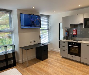 High Quality High Specification Student House - Individual Self Con... - Photo 6