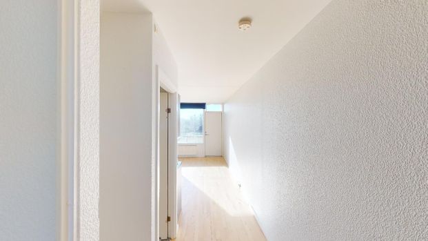 Lys lejlighed med naturskøn udsigt ved fjorden - Foto 1