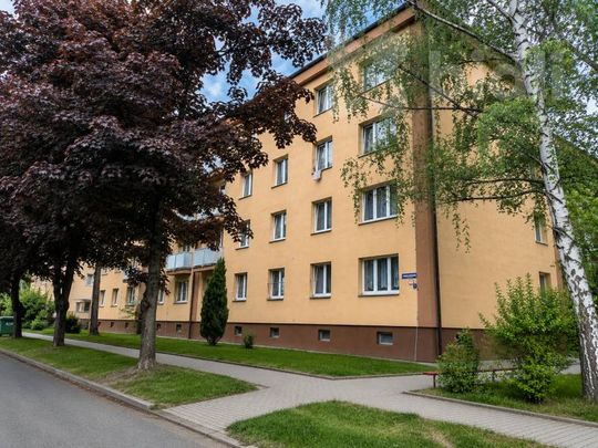 Pronájem bytu 1+kk a garsoniéry 17 m² - Photo 1
