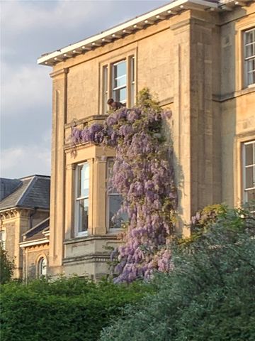 Student Properties to Let - Photo 4